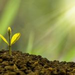 Boost Your Productivity: Practical Strategies to Optimize Your Time and Enhance Daily Performance