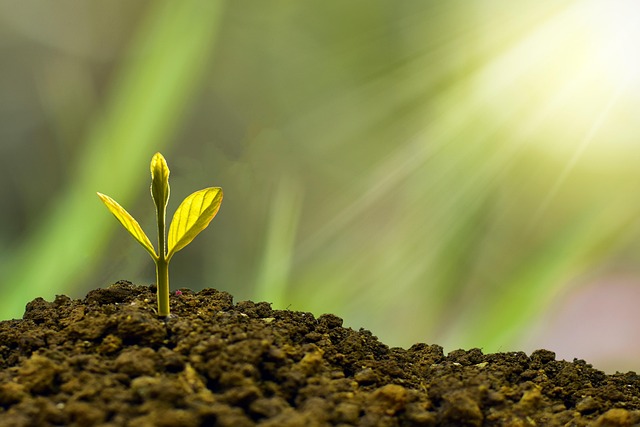 Boost Your Productivity: Practical Strategies to Optimize Your Time and Enhance Daily Performance