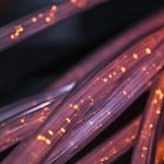 Reimagining Human-AI Collaboration: The Next Frontier in Technology and Innovation