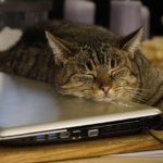 Navigating the World of AI Writing: Tools and Techniques for Enhanced Expression and Efficiency