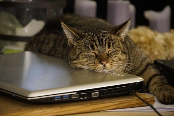 Navigating the World of AI Writing: Tools and Techniques for Enhanced Expression and Efficiency